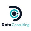 Data Consulting Logo